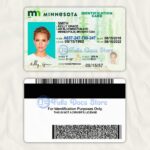 MINNESOTA ID CARD TEMPLATE PSD